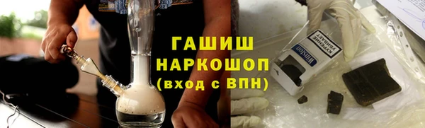 прущие грибы Аркадак