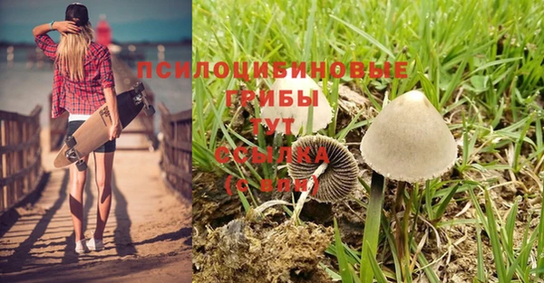 дурь Алексин