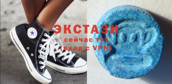 прущие грибы Аркадак