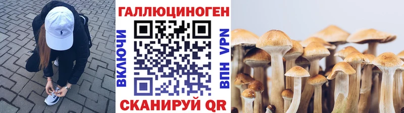 где продают наркотики  Куса  Псилоцибиновые грибы Cubensis 